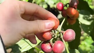 Makan bareng di pinggir sungai