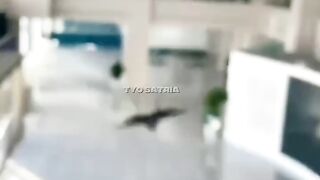 Pesawat kertas modern.