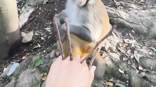 Cute monkey, when hes sulking