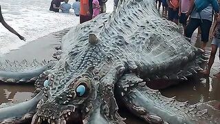 Sighting of a sea monster