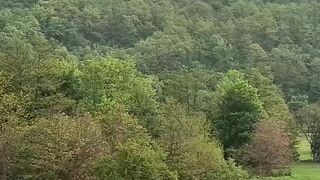 Beautiful nature