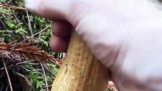 Hunting for Wild Mushrooms in the Forest! So Many Edible Varieties