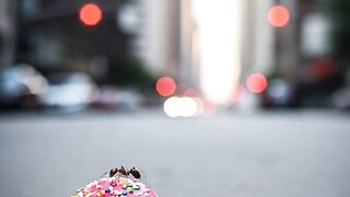Ant get donuts in the street