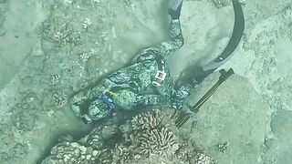 Diving For Hawaiian Lobster