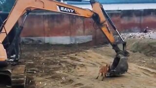 Om nya baik banget ya