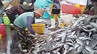 Hasil tangkapan nelayan Rembang