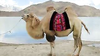 Milagros científicos en el Corán y la Sunnah 23