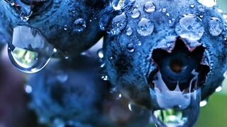 Blueberries The Tiny Fruit That Protects Your Brain