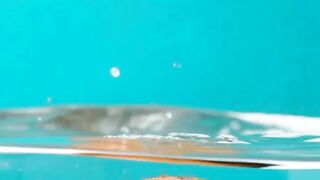 various fruits Coconut