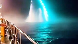 Paus muncul di malam hari