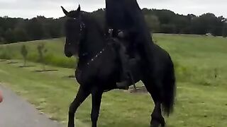 The Headless Horseman