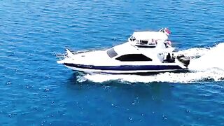 Komodo Island Tour with Elrora Cruise Speedboat  Luxury, Comfort, and Adventure in Labuan Bajo!