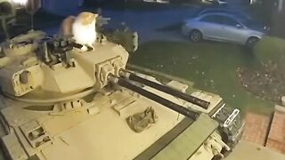 He just wanted whiskas, But he didnt get it