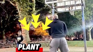 Pump show pivot basketball ballislife ball nba - The basketball trainer