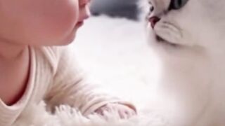 A Curious Gaze Between a Baby and a Cat