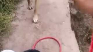 This Funny Video Will Make You Laugh Out Loud!