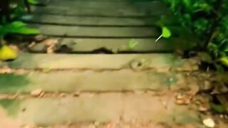 Feel the breath and beauty of nature