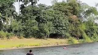 Theres something strange near the tree