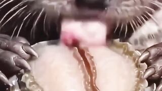 Mode pertahanan dari kerang.