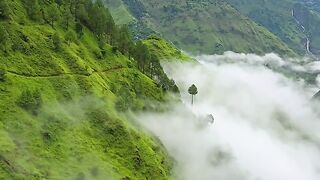 Finding Solace in Natures Embrace