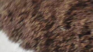 Herbal medicine eagle claw root