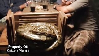 Snake Explorer Part 12