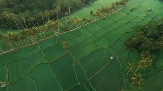 enchantingly beautiful nature