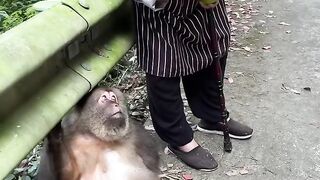 Love animals, then animals will love you