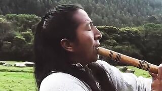 The Last of the Mohicans