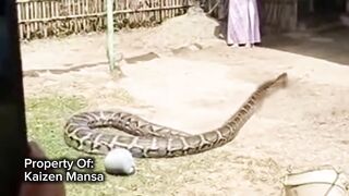 Snake Explorer Part 30
