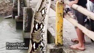 Snake Explorer Part 44