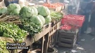 Snake Explorer Part 49