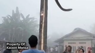 Snake Explorer Part 50