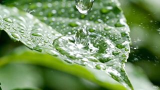 Rainy in the village