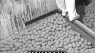 Fainted twice in the haunted house