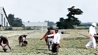 Suasana perkebunan tembakau di Klaten tahun 1920-an