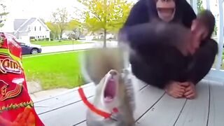 Friendship Tested by Fire!  (Spicy Chip Challenge) AIVIDEO