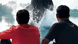 the appearance of orca whales in the lake