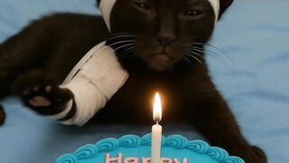 Happy birtday my hero !