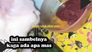 Kucing Dikasih Makan Timun, Langsung Ngoceh ke Majikannya!