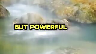 5 keys happiness of life