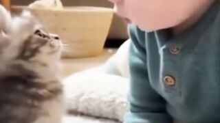 Adorable Staring Contest Between Baby and Kitten