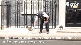 Police Officer Pets Larry the Cat Outside 10 Downing Street