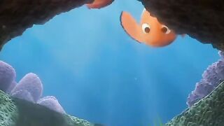 Animated Cartoon Film Finding Nemo