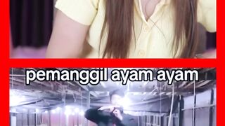 Jurus Pemanggil Ayam