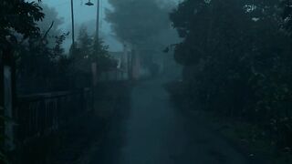 Afternoon vibes in the country side