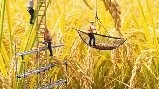 Video miniatur proses pembuatan nasi goreng