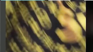 emang model rambut bisa bikin keren