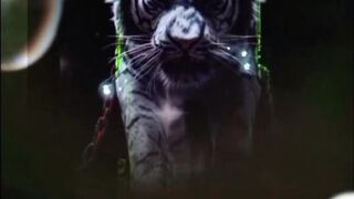 inilah beberapa kekurangan seorang introvert