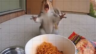 Squirrel shocked after eating spicy noodles